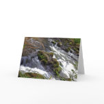Rushing Stream note card