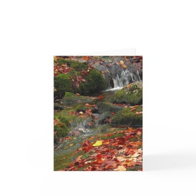Rushing Water Greeting Card by alyciakeating