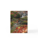 Rushing Water cards by alyciakeating Rushing Water cards