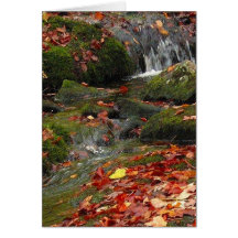 Rushing Water Greeting Card