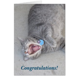 Russ The Cat Congratulations Card