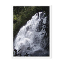 Russell Falls postcards