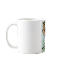 Russet-backed Thrush mugs