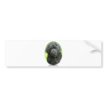 Russian Black Terrier bumper stickers by TraffordPhotos Russian Black Terrier bumper stickers