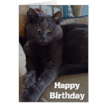 Russian Blue Card