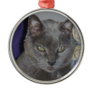 Russian Blue Cat Ornament ornament