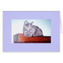 Russian Blue cat photo on blank card