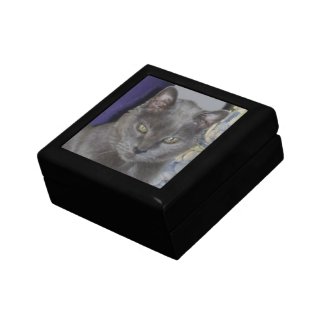 Russian Blue Gift Box giftbox