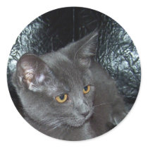 Russian Blue mix stickers
