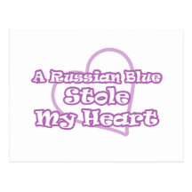 Russian Blue Stole My Heart Postcards