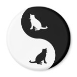 Russian Blue Yin Yang magnets