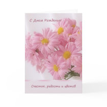 Russian pink Daisy Birthday Card