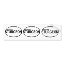 Russian Sturgeon Euro Stickers Bumper Stickers