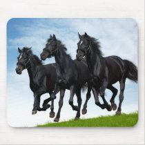 Russian troika mousepads