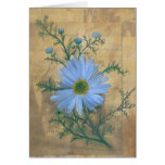 Russia's Chamomile cards