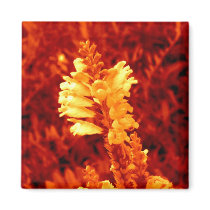 Rust magnets by rdwnggrl Rust magnets