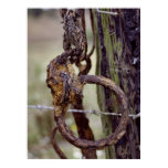 Rusted Ring Print