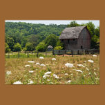 Rustic Barn and Queen Anne's Lace Poster Print posters