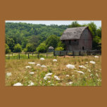 Rustic Barn and Queen Anne's Lace Poster Print