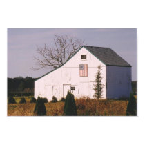 Rustic Barn posters