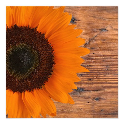 Rustic Barn Wood Sunflower Country Bridal Shower Custom Invites