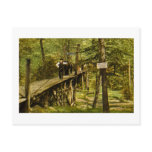 Rustic Bridge Eastman Springs Benton Harbor Mi postcards