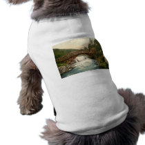 Rustic Bridge in Glenariff. Co. Antrim, Ireland pet clothing