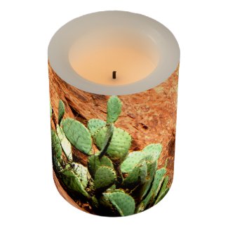Rustic Cactus on Red Rocks Zion Wrapped LED Candle