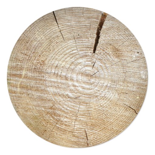 Rustic carved tree wood heart wedding invitation