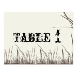 Rustic Country Grasslands Table Number Post Cards