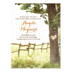   rustic country vintage tree save the date postcard postcards