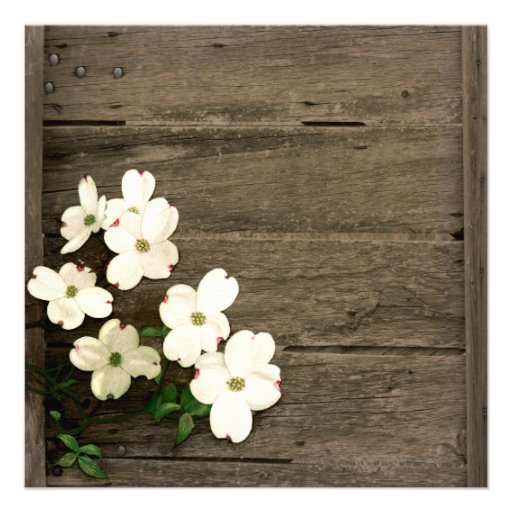 Rustic Fence & Dogwood Blooms Wedding Invitation