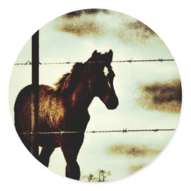 Rustic Horse Colt Foal and Barbed Wire Sticker