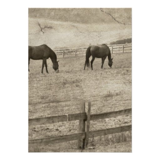 Rustic Horse Farm Wedding Custom Invite