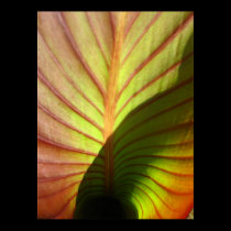 rustic leaf posters by trendhuntress rustic leaf posters