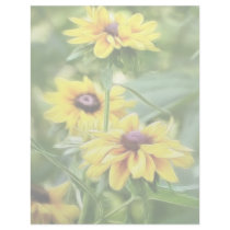 Rustic Mix Rudbeckias Letterhead Template