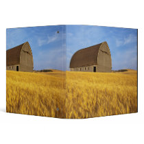 Rustic old barn in mature wheat field in the 2 binder