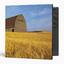 Rustic old barn in mature wheat field in the 2 binder