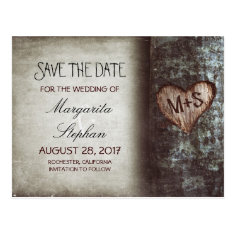 rustic old tree save the date postcards