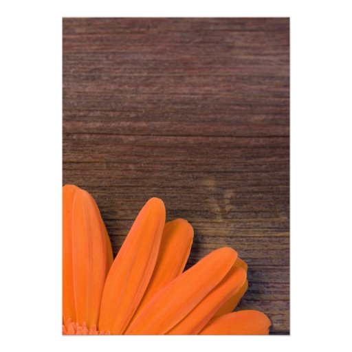 Rustic Orange Daisy Birthday Party Invitation