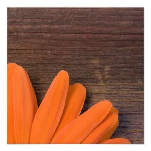 Rustic Orange Daisy Country Rehearsal Dinner Custom Invitation