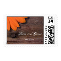 Rustic Orange Daisy Country Wedding Postage Stamp