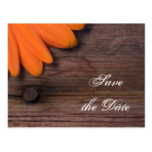 Rustic Orange Daisy Country Wedding Save the Date Postcards