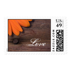 Rustic Orange Daisy Love Wedding Postage Stamp