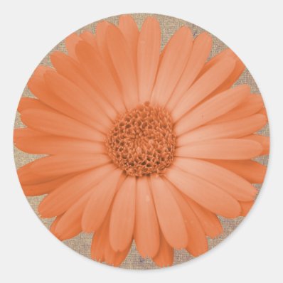 Rustic Peach Daisy Flower Round Stickers Seals