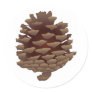 Rustic Pinecone