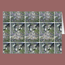 Rustic Romance Plum Blossom cards