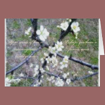 Rustic Romance Plum Blossom cards