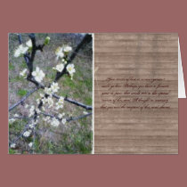Rustic Romance Plum Blossom cards