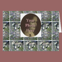 Rustic Romance Plum Blossom (Photo Customizable) cards